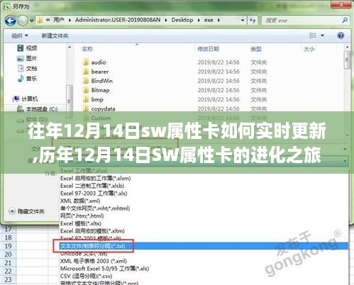 历年12月14日SW属性卡的进化与实时更新深度剖析