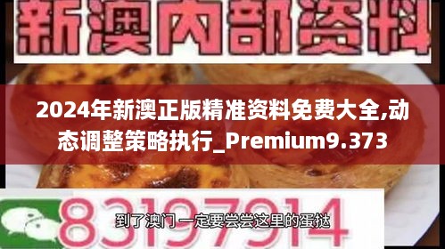 2024年新澳正版精准资料免费大全,动态调整策略执行_Premium9.373