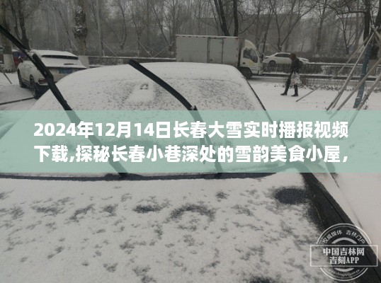 探秘雪韵美食小屋，长春大雪中的意外惊喜