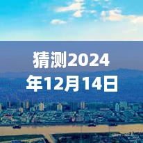 揭秘预测，温州龙港公交未来实时动态展望——2024年12月14日实时预测报告