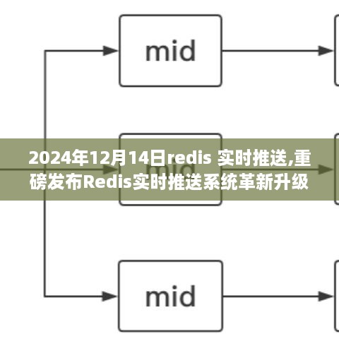 Redis实时推送系统革新升级，开启智能生活新纪元——独家揭秘Redis实时推送技术重磅发布，前沿科技体验，2024年12月14日全新升级解读