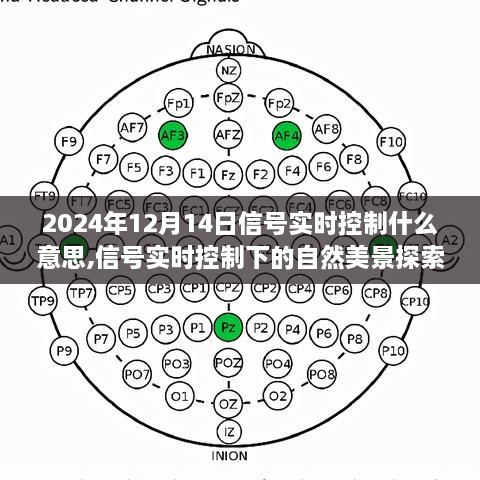 信号实时控制下的自然美景探索之旅，寻找内心的宁静与平和（2024年12月14日）