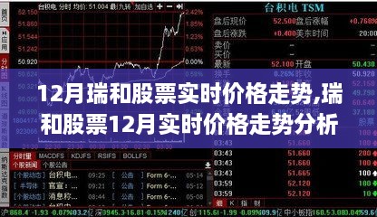 深入探究瑞和股票内在价值，12月实时价格走势分析