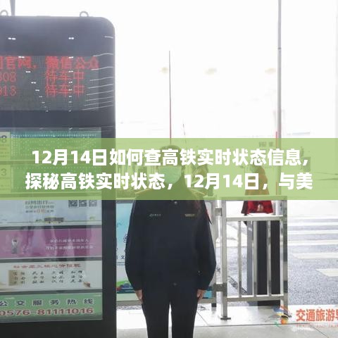 探秘高铁实时状态信息，如何查询高铁实时动态，与美景不期而遇（12月14日指南）