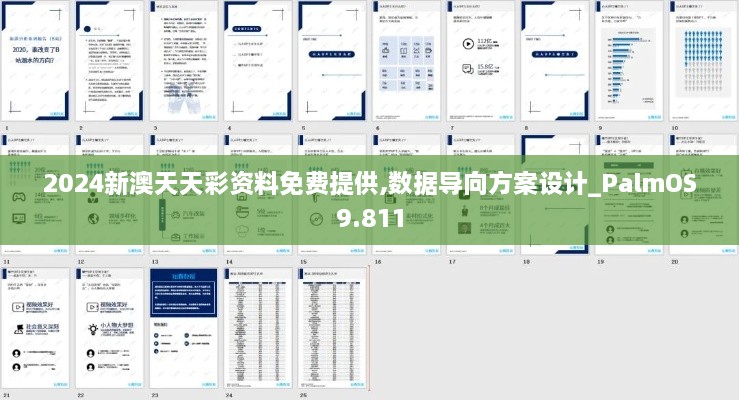 2024新澳天天彩资料免费提供,数据导向方案设计_PalmOS9.811