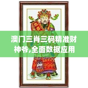 澳门三肖三码精准财神爷,全面数据应用实施_HT1.227