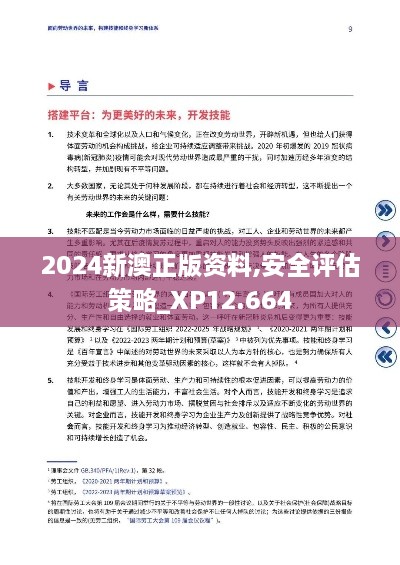 2024新澳正版资料,安全评估策略_XP12.664