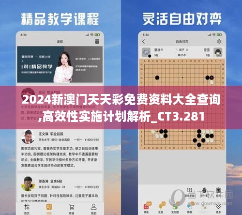 2024新澳门天天彩免费资料大全查询,高效性实施计划解析_CT3.281