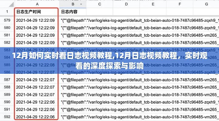 深度探索实时观看日志视频教程，12月指南与影响分析