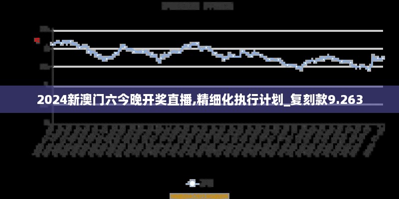 2024新澳门六今晚开奖直播,精细化执行计划_复刻款9.263