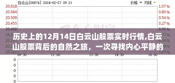 历史上的12月14日白云山股票实时行情探索，自然之旅与心灵探险的奇妙交汇点