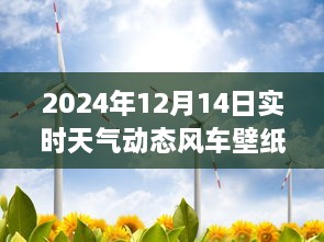 科技与美学融合，实时天气动态风车壁纸，体验天气变化之美（2024年12月14日）