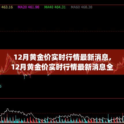 12月黄金价实时行情，全面评测与详细介绍