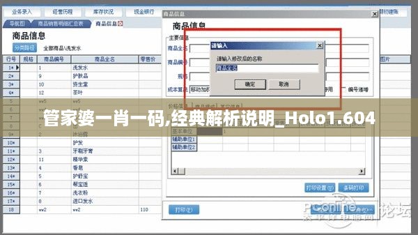 管家婆一肖一码,经典解析说明_Holo1.604