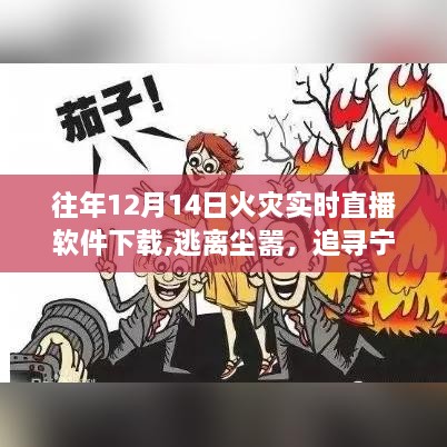 火灾直播软件下载之旅，追寻宁静与火的奇妙旅行