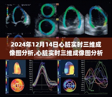 揭秘未来医疗科技尖端应用，心脏实时三维成像图分析技术展望（2024年）