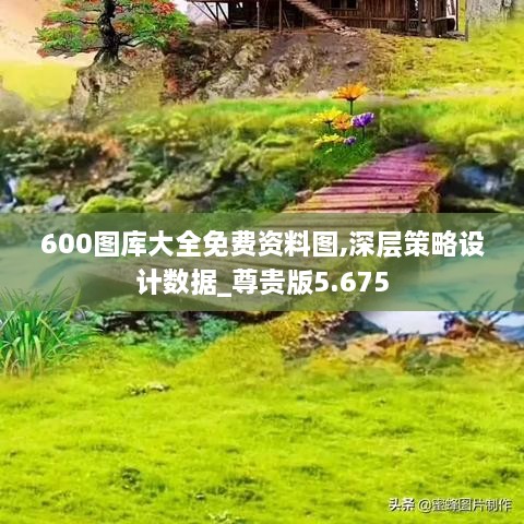 600图库大全免费资料图,深层策略设计数据_尊贵版5.675