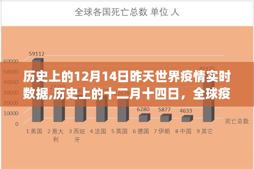 全球疫情实时数据下的观点碰撞与个人立场，历史上的十二月十四日回顾与反思