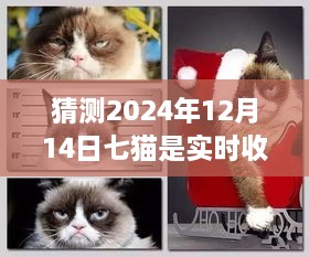 七猫收益之谜，温馨时光里的实时收益猜想