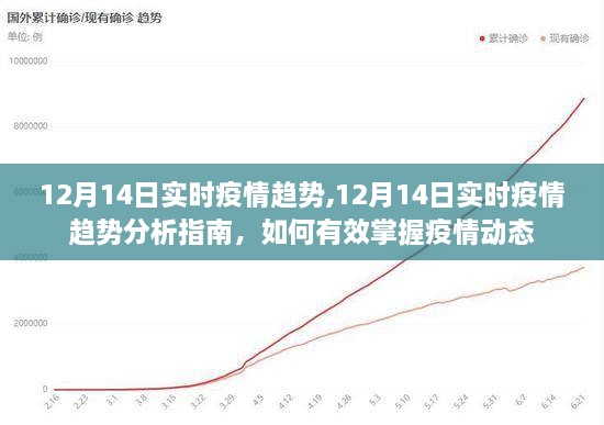 12月14日实时疫情趋势详解，掌握疫情动态的指南与分析