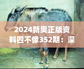 2024新奥正版资料四不像352期：深挖四不像案例，预见行业趋势