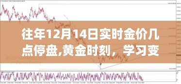 黄金时刻，把握未来与金价同行，学习变化闪耀自信光芒的历程