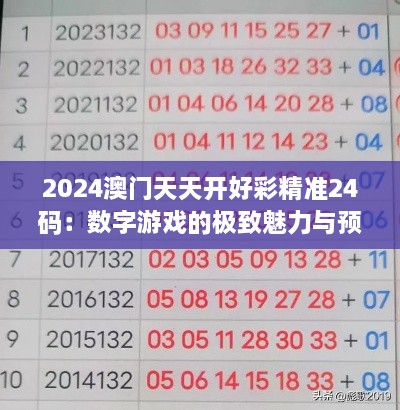 2024澳门天天开好彩精准24码：数字游戏的极致魅力与预测的艺术