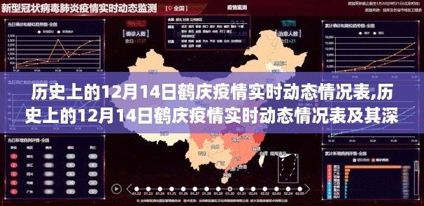 历史上的12月14日鹤庆疫情实时动态情况表及其深度分析概览