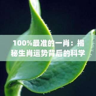 100%最准的一肖：揭秘生肖运势背后的科学与艺术