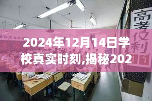 揭秘学校真实时刻，深度解读三大要点在2024年12月14日这一天的重要性