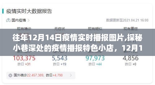 探秘小巷深处的疫情播报特色小店，历年12月14日实时播报图片之旅