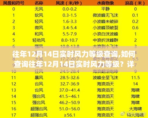 如何查询往年12月14日实时风力等级？详细步骤与指南