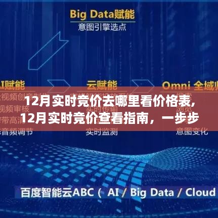12月实时竞价查看指南，一步步教你如何获取最新价格表