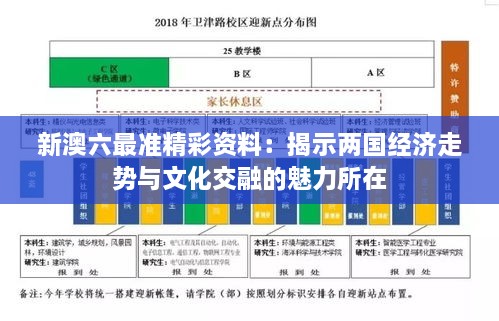 新澳六最准精彩资料：揭示两国经济走势与文化交融的魅力所在