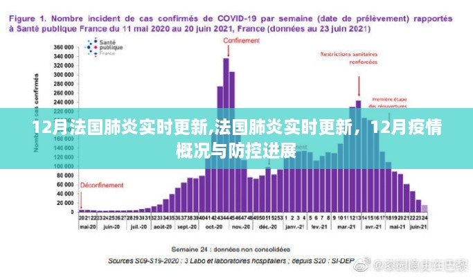 法国肺炎实时更新，12月疫情概况与防控进展报告
