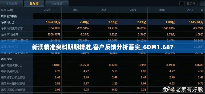 新澳精准资料期期精准,客户反馈分析落实_6DM1.687