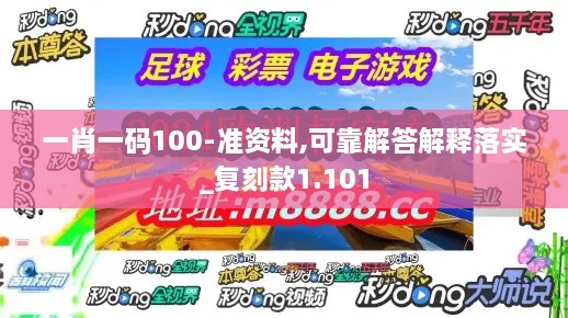 一肖一码100-准资料,可靠解答解释落实_复刻款1.101