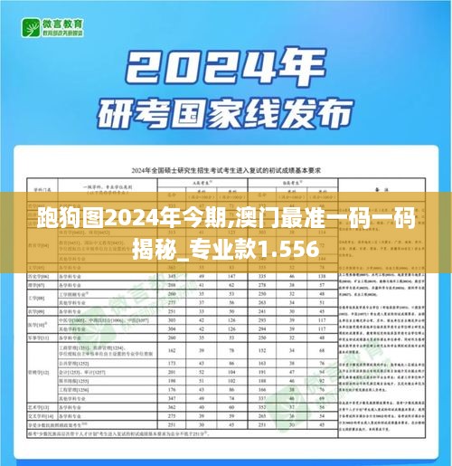 跑狗图2024年今期,澳门最准一码一码揭秘_专业款1.556