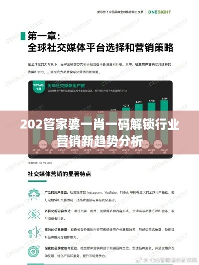 202管家婆一肖一码解锁行业营销新趋势分析