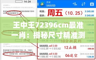 王中王72396cm最准一肖：揭秘尺寸精准测量的行业标杆性能
