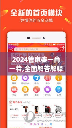 2024管家婆一肖一特,全面解答解释落实_bundle10.784