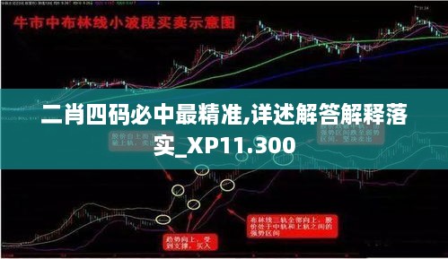 二肖四码必中最精准,详述解答解释落实_XP11.300