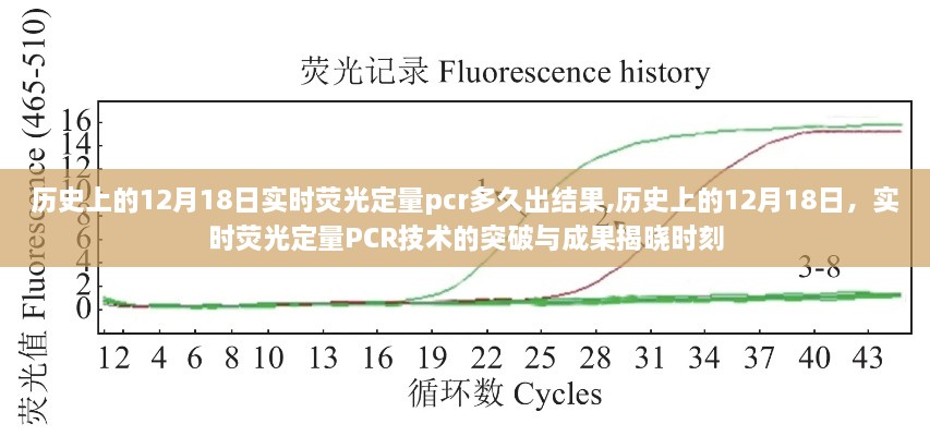 2024年12月18日 第37页