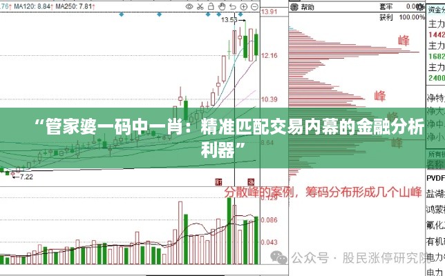 “管家婆一码中一肖：精准匹配交易内幕的金融分析利器”