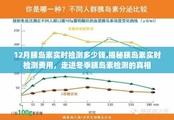 揭秘胰岛素实时检测费用，冬季胰岛素检测真相与费用解析