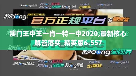 澳门王中王一肖一特一中2020,最新核心解答落实_精英版6.557