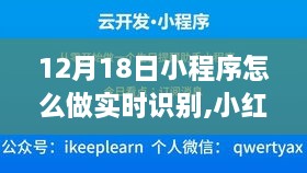 小红书独家揭秘，12月18日小程序实时识别超实用指南与技巧