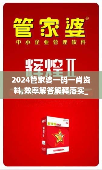 2024管家婆一码一肖资料,效率解答解释落实_升级版2.967