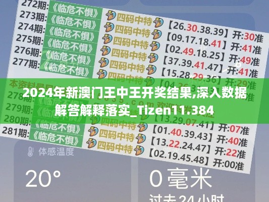 2024年新澳门王中王开奖结果,深入数据解答解释落实_Tizen11.384