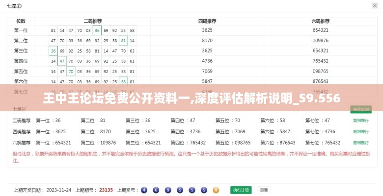 王中王论坛免费公开资料一,深度评估解析说明_S9.556
